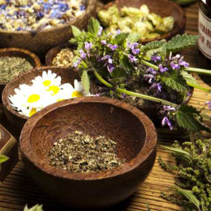 Image for event: Herbal Remedies