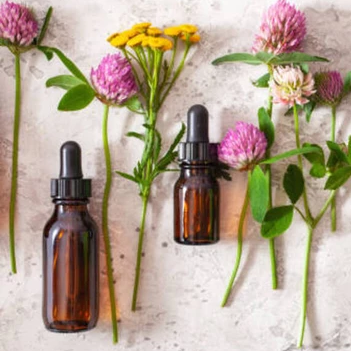 Image for event: Getting Started with Essential Oils