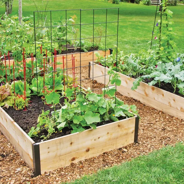 Image for event: Raised Bed Gardening